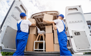 التسويق والنمو